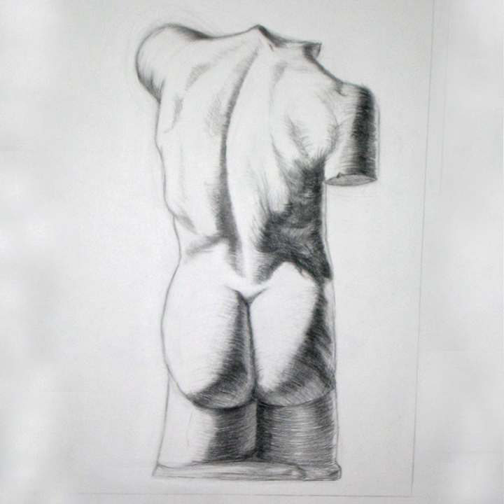 A still life drawing of a torso.